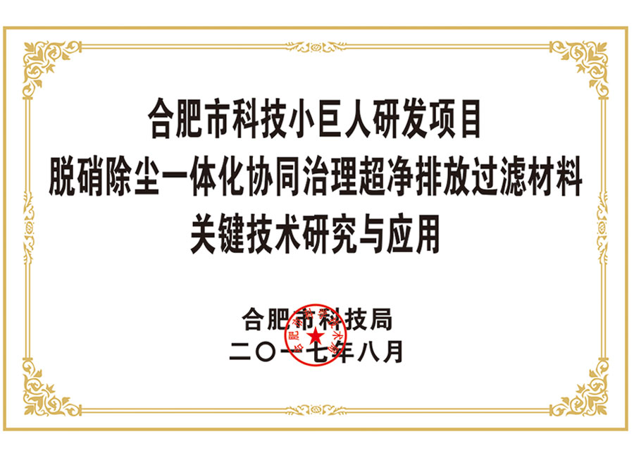 合肥市科技小巨人研发项目 脱硝除尘一体化协同治理超净排放过滤材料 关键技术研究与应用