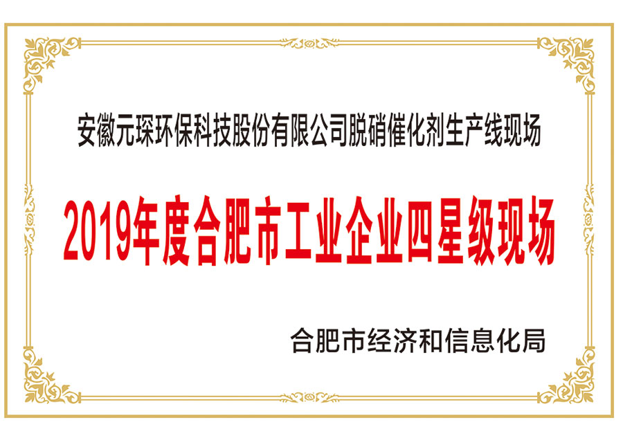 2019年度合肥市工业企业四星级现场